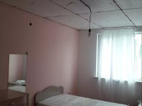 Спецоперация - муравьи в строящемся доме!